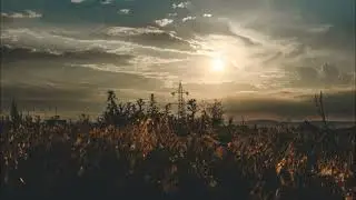 Bryulik - Loneliness