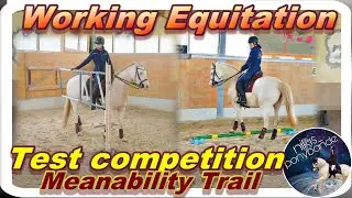 Meanability Trail | Working Equitation Test Competition | Stiltrail with Kiwi [nikis_ponybande]