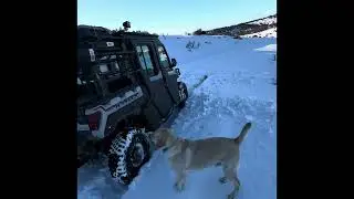 Duraclutch & Gilomen Performance tuned Polaris Rangers driving in the deep snow @allwegottadois