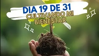 H&aacute;bitos conscientes para transformar tu vida desde adentro