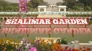 Shalimar Garden Little video and Beautifull scene #foryou #follow #viral # Vital Top ......