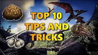 The Top Ten Tips And Tricks For Beginners In Ark Survival Evolved