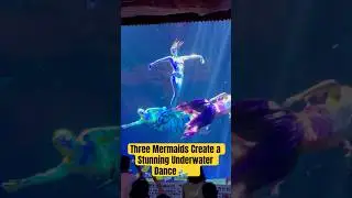 Three Mermaids Create a Stunning Underwater Dance 🌊✨