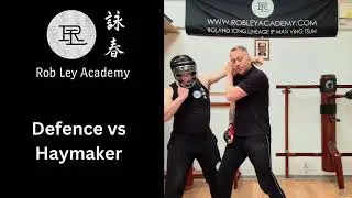 Self Defence / Defense vs Haymaker