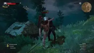 The Witcher 3 - FATALITY