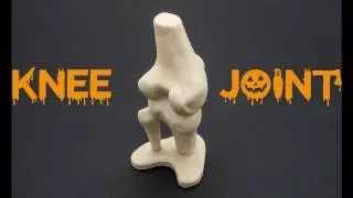Wanhao USA Prints: Knee Joint (Duplicator i3 PLUS)