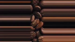 Paris Coffee Show 2024 - Cafés fermentés, co fermentés & infusés : tendances et enjeux