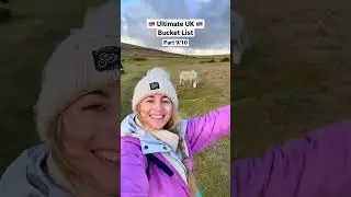You HAVE to do THIS! 😍 See the Dartmoor Ponies 🇬🇧 #shorts #dartmoor #uktravel #travelshorts