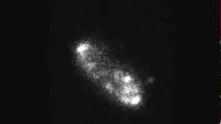PLoS Biology : Composition, Formation, and Regulation of the Cytosolic C-ring, a Dynamic...