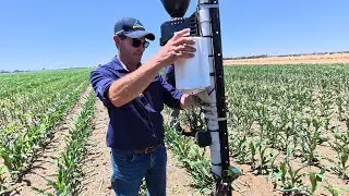 Dialling in the irrigation with Schedule-It! 💦💦