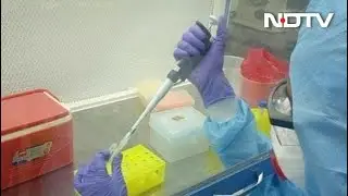 Serum Institute, Bharat Biotech Vaccines Emergency Use Not Cleared Yet