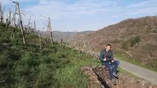 2020er Oberdiebacher F&uuml;rstenberg Riesling Kabinett fruchts&uuml;&szlig; - Weingut Dr. Kauer - Mittelrhein