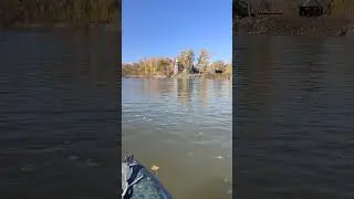 Rafting on the river #sapboard #extremesports #travel #tourism #alloy #rafting #irtysh #Kazakhstan