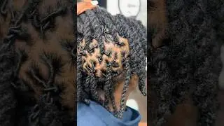 Men&rsquo;s Locs With 2 Strand Twist