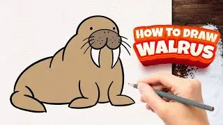 Easy Walrus Drawing Tutorial for Beginners | Step-by-Step Guide