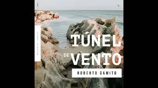 T&uacute;nel De Vento #28 - Pose simiesca, vagas comichosas, o imp&eacute;rio do literal