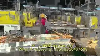 Production Line Contains Log Multi Rip Saw and Smart Edge Trimmer for Blockboards Barecore Pallets