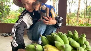 What a Surprise! Mynu Finds Ripe Bananas and Asks Mom to Harvest