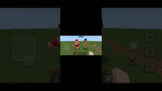 pelea con los brincos   5