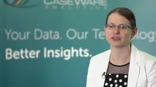 Why this CPA firm uses IDEA instead of Excel