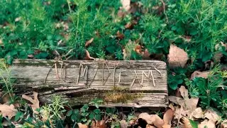 Wesley Hill - All My Dreams