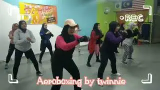 Go down deh by sean paul | cardio kick boxing workout | strong workout | aeroboxing by twinnie