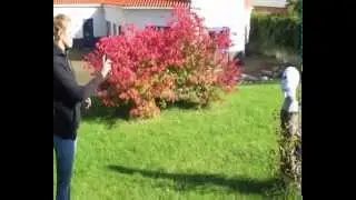 TIW 75 ml licensfritt f&ouml;rsvarsspray