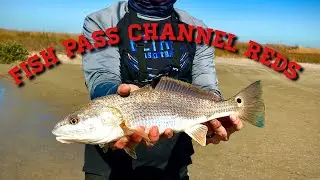 Mustang Island Texas Surf Fishing: ep 3