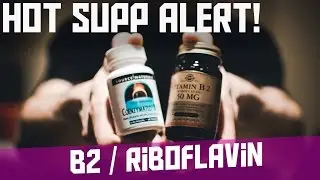 Hot Supp Alert - 5/8/17 - How B2 Can Fix the Warrior Gene and Irritability