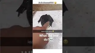 #funny #frog #memes #meme #frogshort