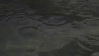 Relaxing Rain in the Riverbed (Blender 3D Animation) 720P HD