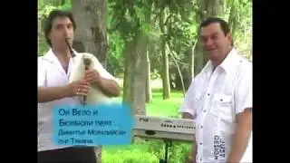орк. Траяна - Ой, Вело Вело