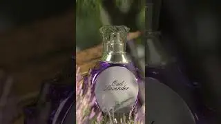 Unveil the elegance of Oudh Lavender 🌿💜 #fragrance #perfume #lasvegas #lavender #aromatherapy #aroma