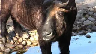 &iexcl;Un d&iacute;a en el Zoo de Madrid!