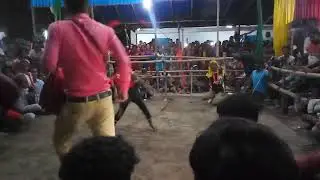 Paharpur podhan para lathi khala