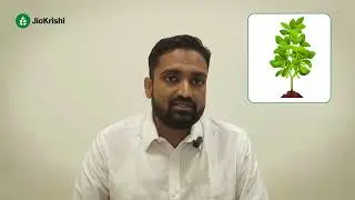 Soybean Irrigation Management | Water Stress Management in Soybean Crop