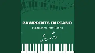 Whimsical Pet Piano Escapades