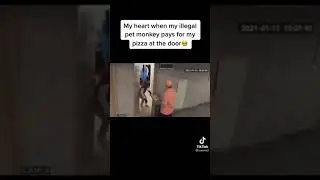 Monkey pays for pizza 🍕