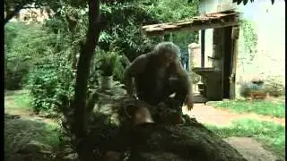 A Pequena Orf&atilde; 2  Atriz Patricia Aires e o Ator Dionizio de Azevedo