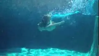 Mermaid Dreams