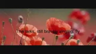 In Flanders Fields-A Remembrance Day Slideshow