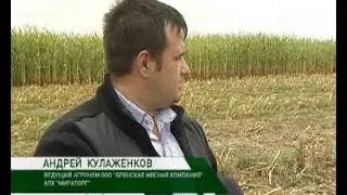 мираторг жуковка 2 09 13