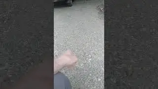 Щебёнка или ПГС, что лучше для отсыпки дорожек на садовом участке!?
