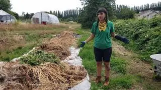 Volunteering at 21 Acres: Composting Invasive Species