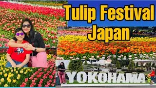 Tulip Festival Japan | Beautiful Tulips I Yamashita Park Yokohama