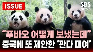 [🔴이슈] 