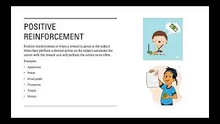 B.F. Skinner Positive Reinforcement Theory