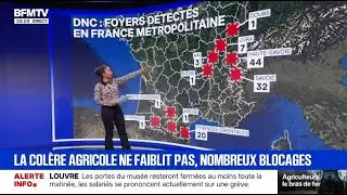 Wall dans 
