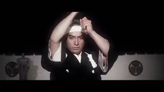 Source Direct - Concealed Identity