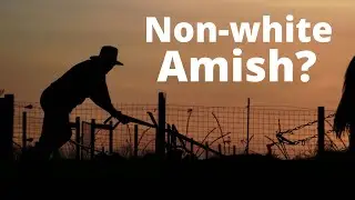 Are There Black Amish People?